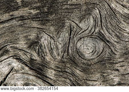 Close-up Shot Of An Old Tree Trunk, Abstract Background