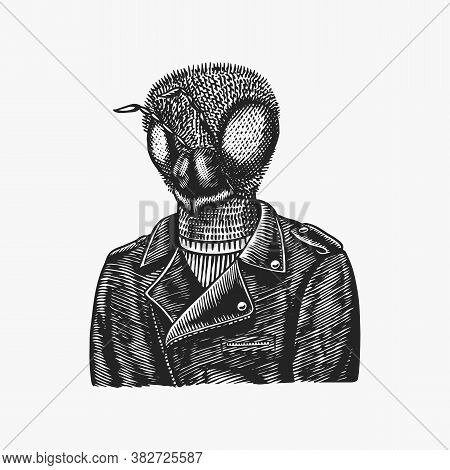 Bee Biker. Fly In A Leather Jacket. Fashion Insect Character. Hand Drawn Sketch. Vector Engraved Ill