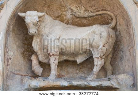Springvand af taurus. Nardo. Puglia. Italien.