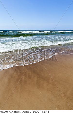 The Coast Of The Baltic Sea In The Summer, The Month Of August, The Beautiful Nature, And The Restle
