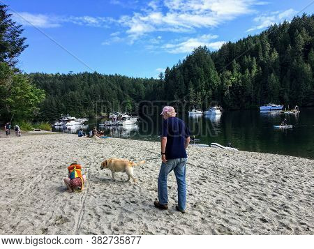 Tod Inlet, Brentwood Bay, Canada - July 4th, 2020: Families Walking Along The Beach In Tod Inlet, A 