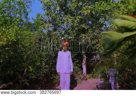 Indian Customs And Life,an Indian Farmer Wearing A Colorful Turban According To Rajasthani Culture, 