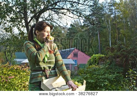 Jovem mulher coleta e comer maçãs de Inverno