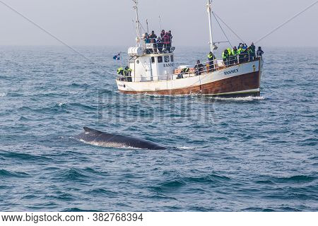 Husavik, Iceland- 25 August 2015: Boats With Tourists In The Greenland Sea During Whale Watching.