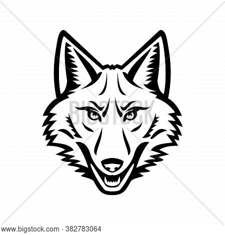Black And White Mascot Illustration Of Head Of A Coyote Or Canis Latrans, A Canine Native To North A