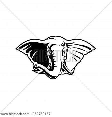 Black And White Retro Mascot Style Illustration Of An Elephant With Long Tusks Viewed From Front On 