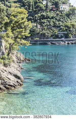 The Bay Of Paraggi In Portofino With Green And Transparent Water