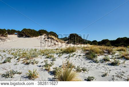 Le Dune Beach Near Capo Comino, Siniscola, Nuoro