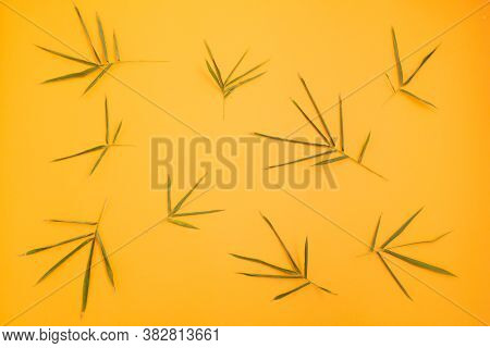 Many Bamboo Leaves Arranged In A Pattern On An Orange Background.