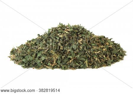 Pellitory of the wall herb used in herbal medicine to treat urinary tract infections, kidney pain and stones, fluid retention, constipation and coughs. Parietaria judaica officinalis.