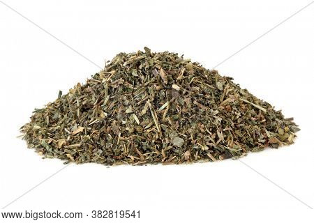 Ground ivy herb used in herbal medicine to treat lung infections, coughs, colds and bronchitis, is an antiseptic and has anti inflammatory properties. Gechoma hederaceae.
