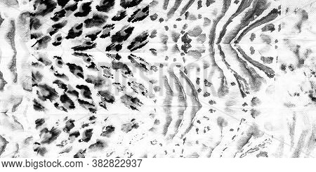 Animal Shade Background. White Material Design. Black Animal Skin Texture. Skin Leopard Pattern. Geo