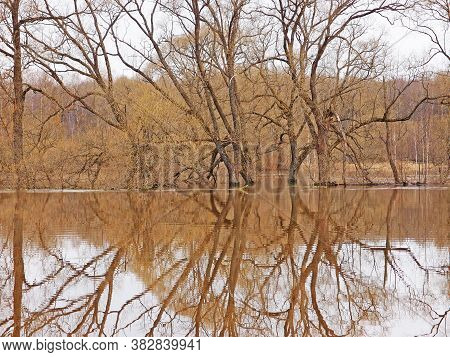 Early Spring, The River Overflowed Its Banks: Flooding, Inundation, Freshet