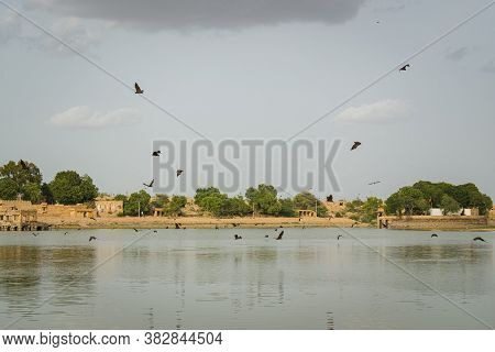 Bats Flying Over A Lake In The Evening