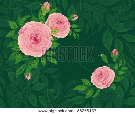 Fundo de rosas