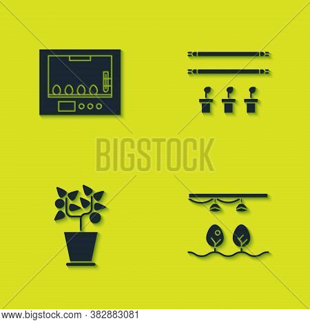 Set Incubator For Eggs, Smart Farm With Bulb And Plant, Plant In Pot And Icon. Vector