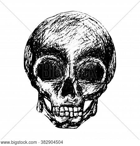 Sketch Human Skull In Vintage Style Black Outline Isolated On White Background. Stock Vector Illustr