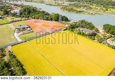 Daxi, Taiwan - November 14th, 2019: aerial view of garden in Daxi event of Taoyuan Flower Festival in Taoyuan, Taiwan, Asia