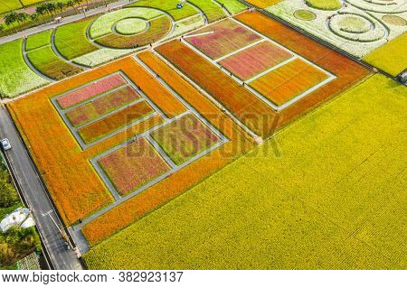 Daxi, Taiwan - November 14th, 2019: aerial view of garden in Daxi event of Taoyuan Flower Festival in Taoyuan, Taiwan, Asia