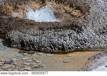 Bacteria And Minerals From The Thermal Waters Of Aurum Geyser Have Created A Detailed Formation At T