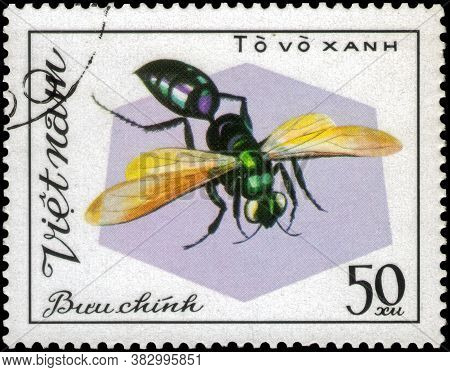 Saint Petersburg, Russia - May 31, 2020: Postage Stamp Issued In The Vietnam With The Image Of The W