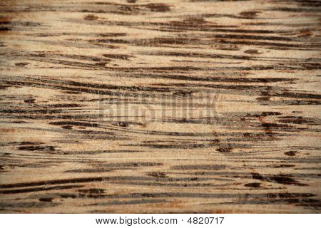 Textura de madera shabby