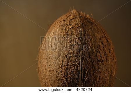 Coco solo
