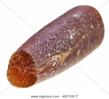 화석된 Belemnoids
