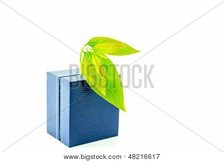 Leaf On Ring Box Concept