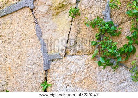 Old Stone Textures