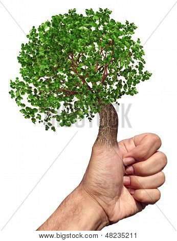 Pollice verde