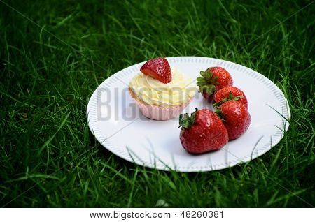 Jordbær og vanille Cupcakes på græs