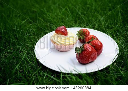 Jordbær og vanille Cupcakes på græs