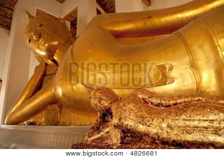 Ležící Buddha obrazy