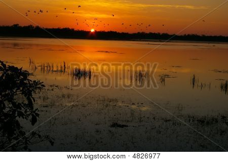 Dawn på Mamukala