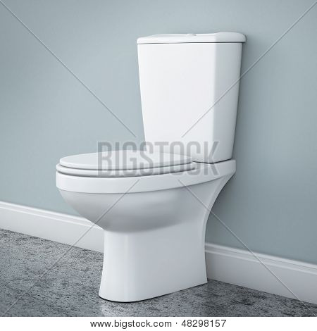 New toilet bowl