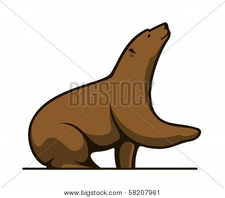 Grizzly bear