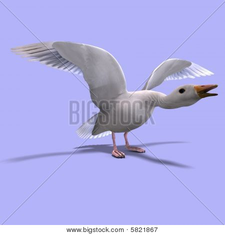 나는 눈 거 위