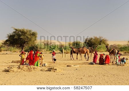 Desert Life In India
