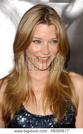 Sarah Roemer at the Los Angeles Premiere of 