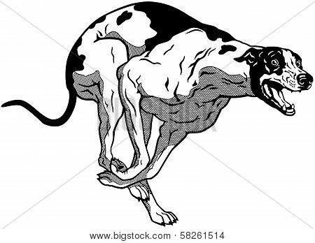 Running Greyhound Black White