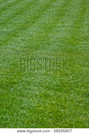 Football field