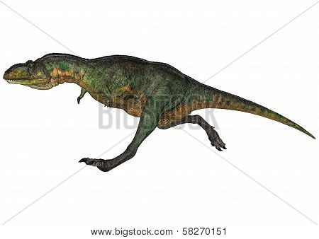 Dinosaur Aucasaurus