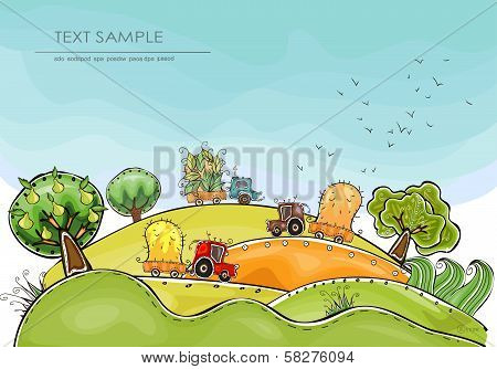 Organic farm background 