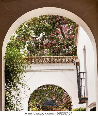 White Horseshoe Arches Pink Flowers Alcazar Royal Palace Seville Spain