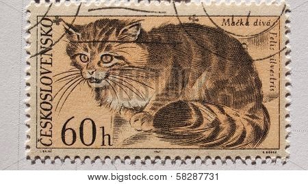 Czechoslovakian Mail Stamp With Wild Cat