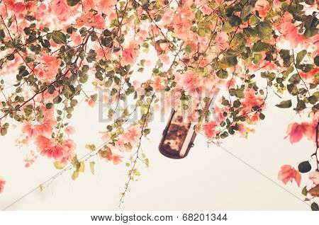 Paper Flowers Or Bougainvillea Vintage