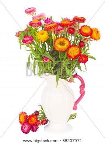 Everlasting flowers