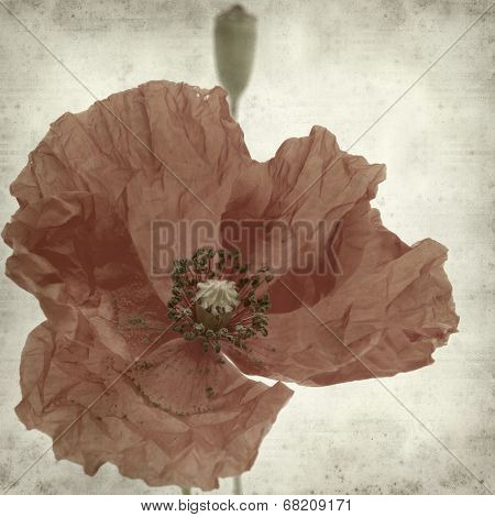 Textured Old Paper Background