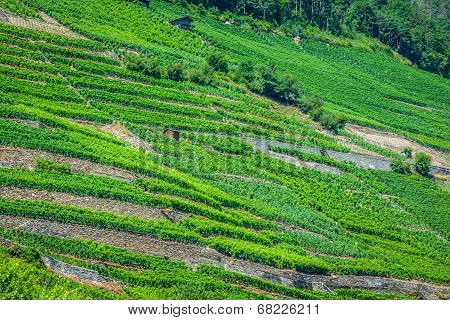 The Swiss Alpine Town Of Martigny Surrounded By Vineyards And Mountains